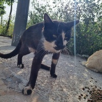 photo de livraison pour Kawthar Maree