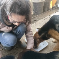 photo de livraison pour Chats Libres de Béziers