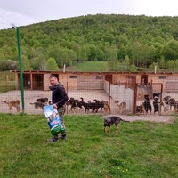 photo de livraison pour Silver Dog Srebrenica