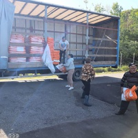 photo de livraison pour Nicoleta Stefanescu