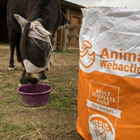 photo de livraison pour Les Chevaux d'Elo