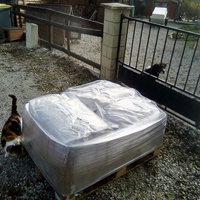 photo de livraison pour Chats errants du val du crenu