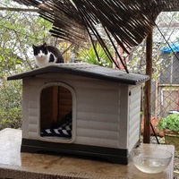 photo de livraison pour Chats Libres de Béziers