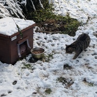 photo de livraison pour Sweety Pets