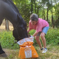 photo de livraison pour Association hippique du Caroux
