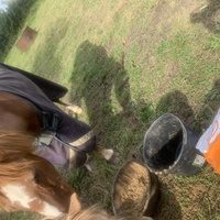 photo de livraison pour Espoir au Galop