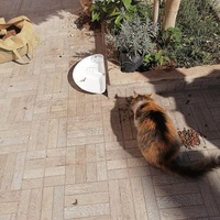 photo de livraison pour Hajar Aourz