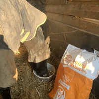 photo de livraison pour Espoir au Galop
