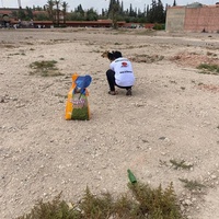 photo de livraison pour L'Arche de Noé