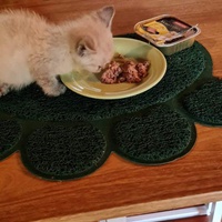 photo de livraison pour Les Chats lectourois