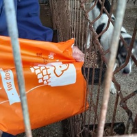 photo de livraison pour RespekTIERE Leben e.V.