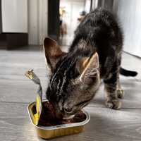 photo de livraison pour SOS Chat 93