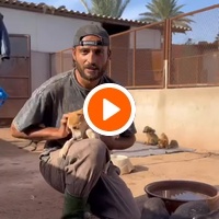 photo de livraison pour Le Coeur sur la Patte