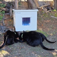 photo de livraison pour Les Chats de Dugny