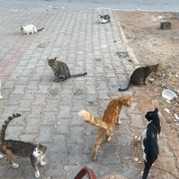 photo de livraison pour Kawthar Maree