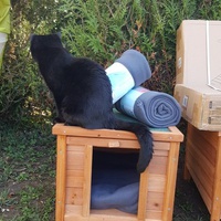 photo de livraison pour Croq'Chats