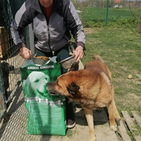 photo de livraison pour Udruženje za zaštitu životinja "Pongo"