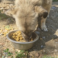 photo de livraison pour Svetlana Bjelogrlic