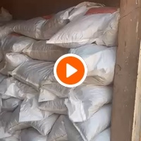 photo de livraison pour Help Adopt Moroccan Animals