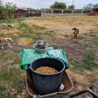 photo de livraison pour Serbian Society for the Protection of Animals - SSPA