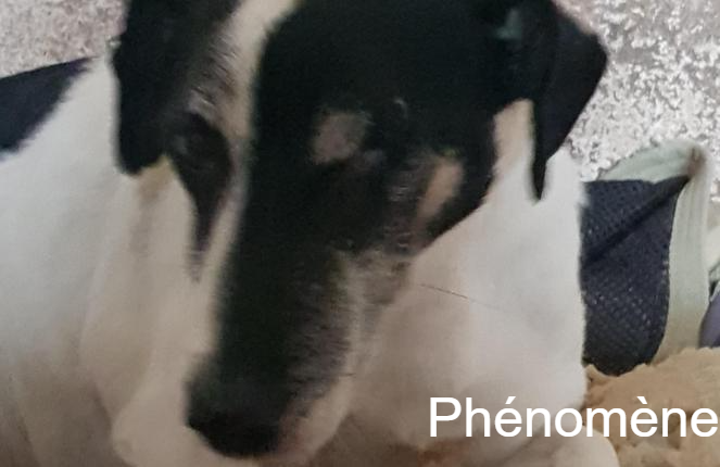 photo association