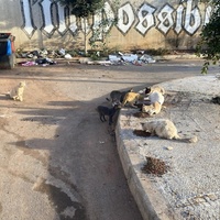 photo de livraison pour Kawthar Maree