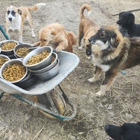 photo de livraison pour Svetlana Bjelogrlic