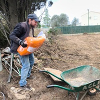 photo de livraison pour Chats Libres de Béziers