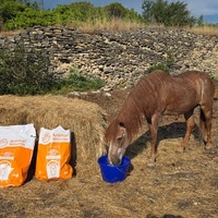 photo de livraison pour La Retraite des Chevaux des Causses