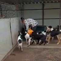 photo de livraison pour Associtia Axi Hope Romania