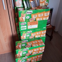 photo de livraison pour Sauver les Chats Errants
