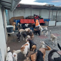 photo de livraison pour Associtia Axi Hope Romania