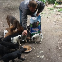 photo de livraison pour SOS Dogs Nederland