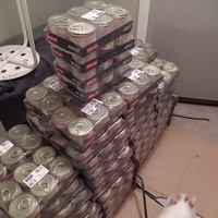 photo de livraison pour Protect Cat