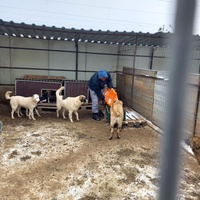 photo de livraison pour Associtia Axi Hope Romania