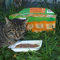 photo de livraison pour Jardin des Chats
