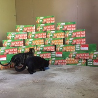 photo de livraison pour Refuge du Poil à la Plume