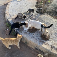 photo de livraison pour Kawthar Maree