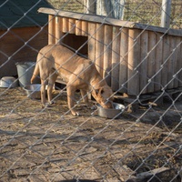 photo de livraison pour Azil Bella