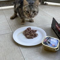 photo de livraison pour APATE