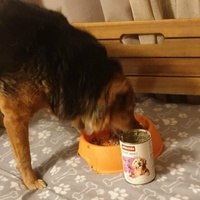 photo de livraison pour AVRAH