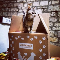 photo de livraison pour Les Chats Libres de Joinville
