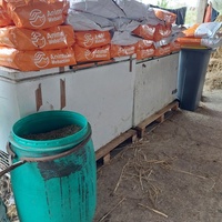 photo de livraison pour Les Chevaux d'Elo