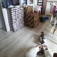 photo de livraison pour Boule de Poils