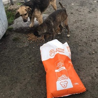 photo de livraison pour Anca Timpeanu