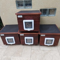 photo de livraison pour Clan du chat libre