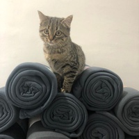 photo de livraison pour APATE