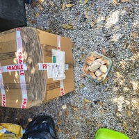 photo de livraison pour Ecole du Chat d’Arbois