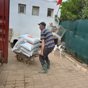 photo de livraison pour Comme Chiens et Chats Maroc