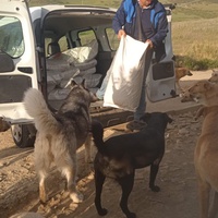photo de livraison pour Sanctuaire de la Faune de Tanger (SFT)
